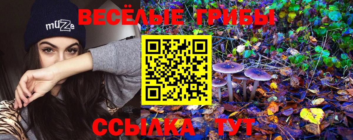 Псилоцибиновые грибы GOLDEN TEACHER  закладки  Отрадное  Вход с VPN 