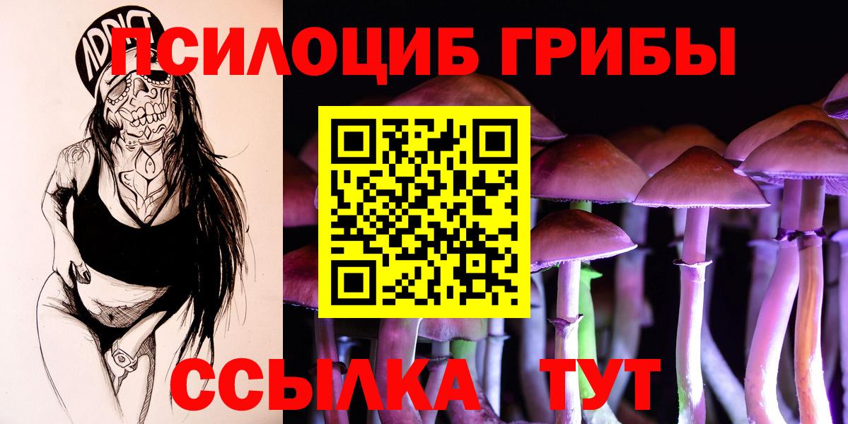 Псилоцибиновые грибы мицелий Отрадное